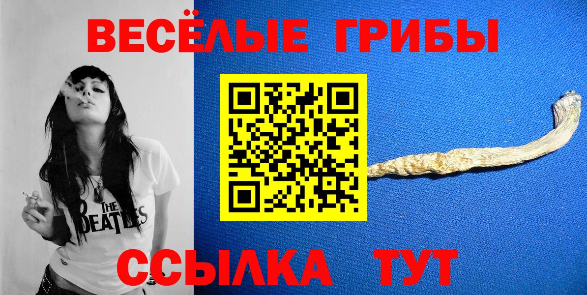 Партизанск  Галлюциногенные грибы мицелий  Вход с VPN 